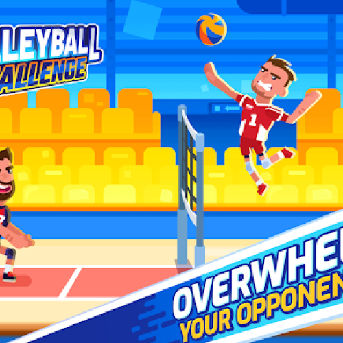 VOLLEYBALL CHALLENGE icon