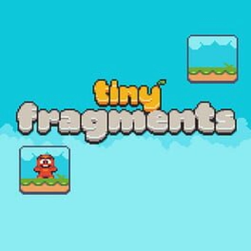 TINY FRAGMENTS icon